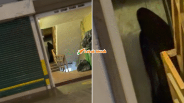 Syaz Ft 2026 01 27T171956.831