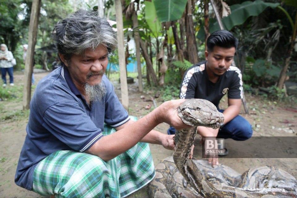 ularsawa9jan 1767941470