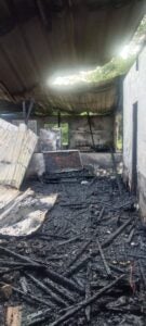 641556555 1428831212618313 1890615688212806235 N