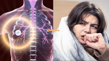 Featured Lm 2026 02 06T125018.761