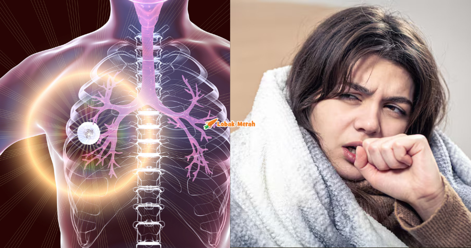 Featured Lm 2026 02 06T125018.761