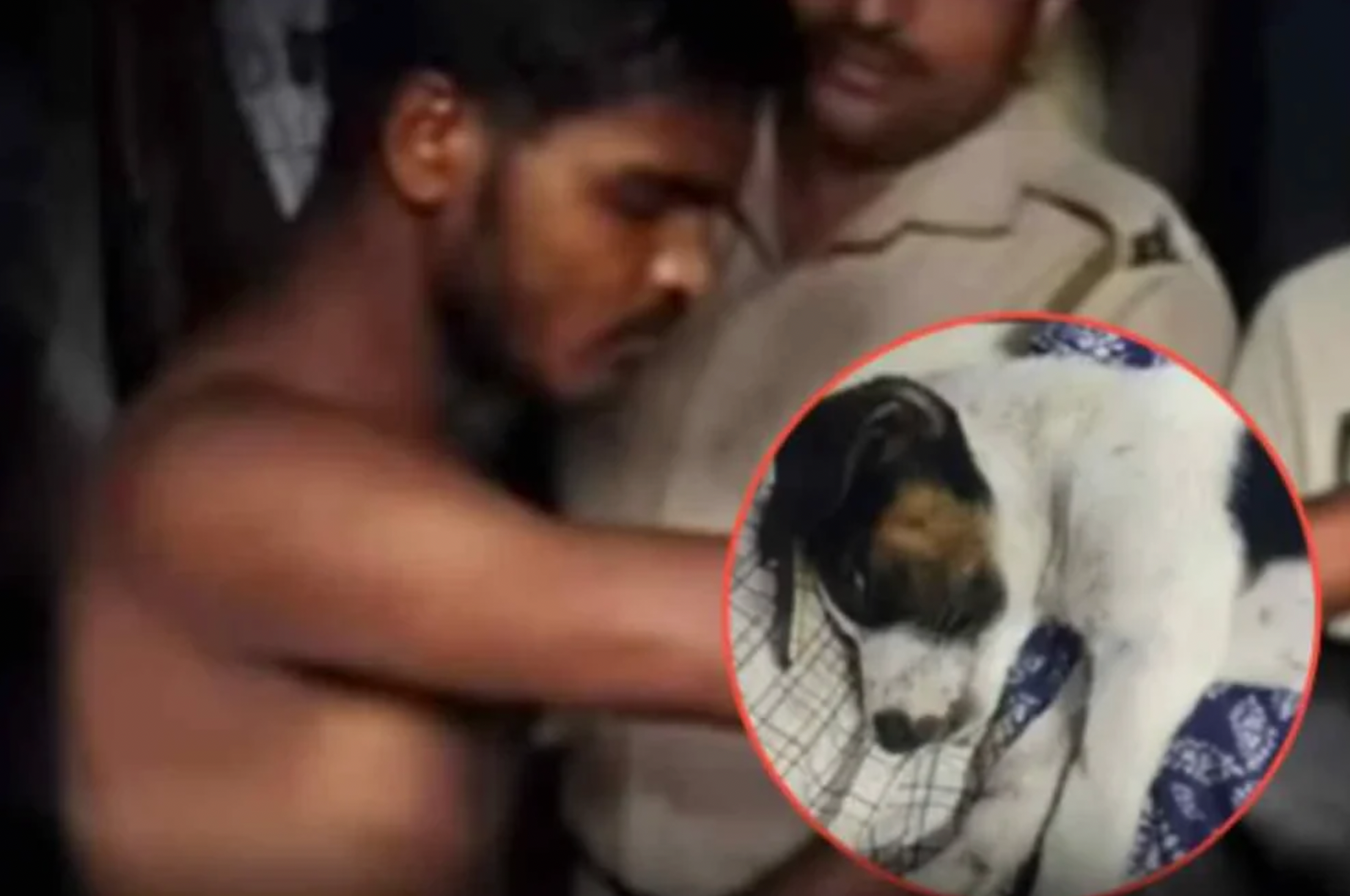 Screenshot 2026 02 01 At 12.45.07 Pm