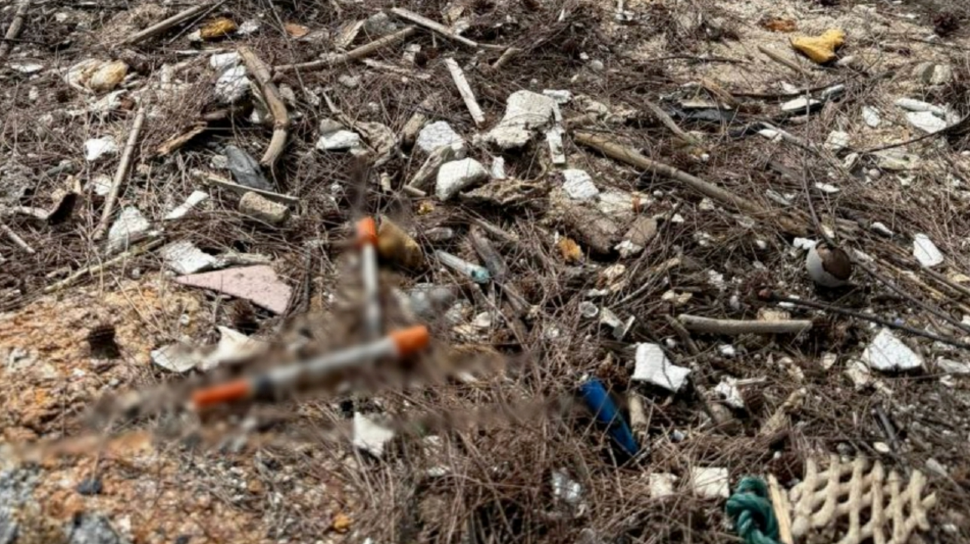 Screenshot 2026 02 15 At 10.47.29 Am