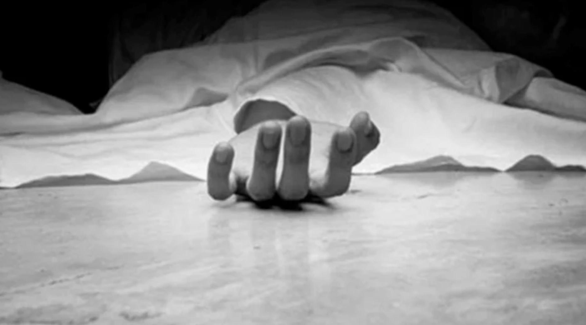 Screenshot 2026 02 15 At 11.11.31 Am