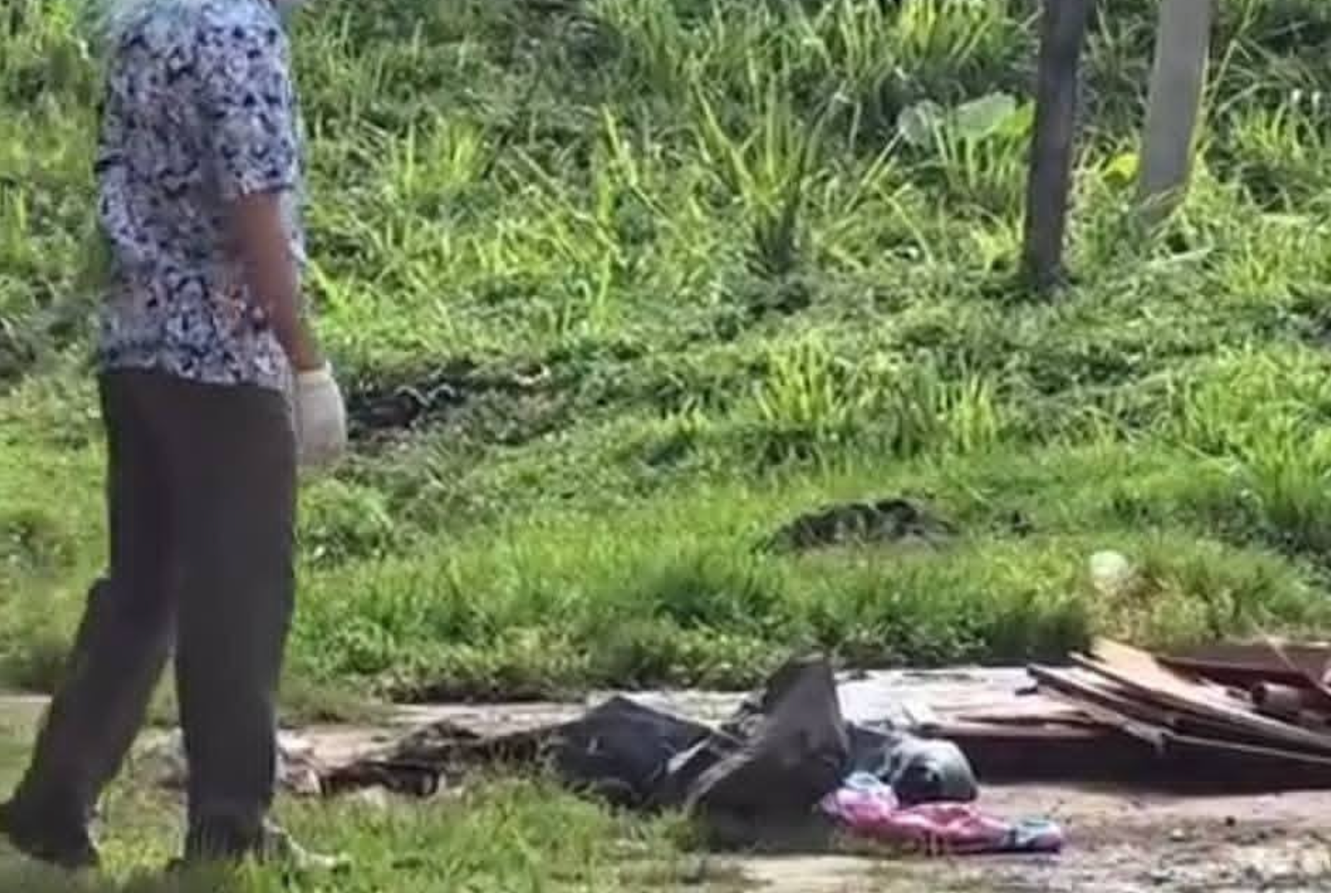 Screenshot 2026 02 22 At 11.43.31 Am