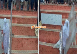 Syaz Ft 2026 02 04T104515.699