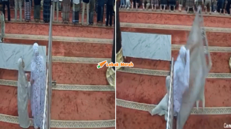 Syaz Ft 2026 02 04T104515.699