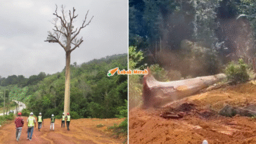 Syaz Ft 2026 02 06T122058.933