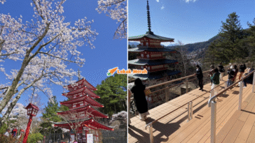 Syaz Ft 2026 02 06T160344.465