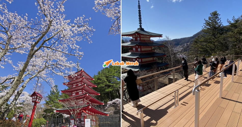 Buang Air Merata & Ceroboh Rumah, Bandar Di Jepun ‘Cancel’ Pesta Bunga Sakura Gara-gara Perangai Pelancong