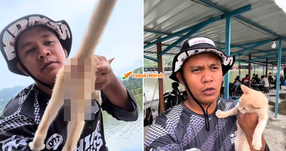 “Tolonglah buang dalam tong sampah!” – Individu Dedah Kucing Menderita Akibat Kecuaian Kaki Pancing