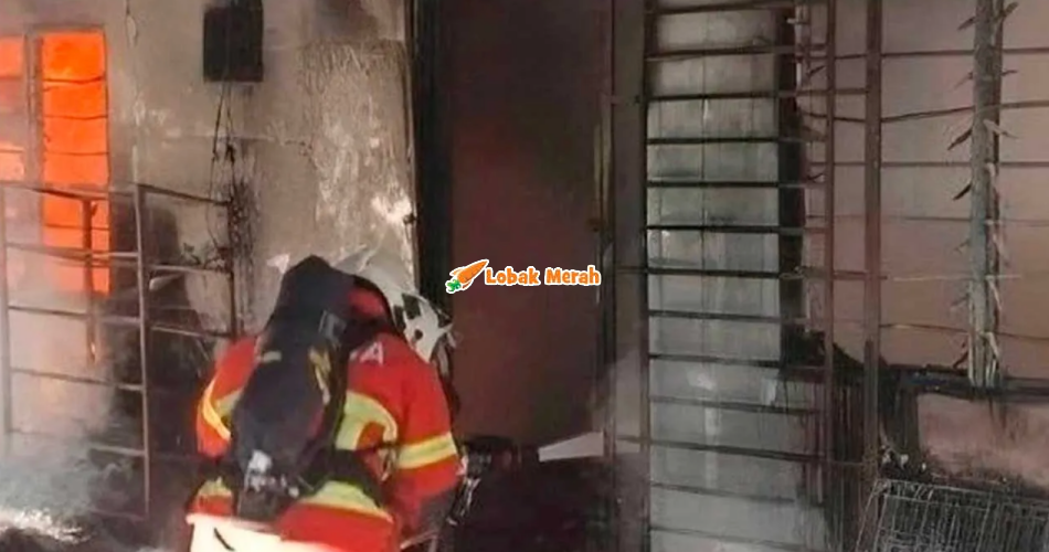 27 Daripada 30 Ekor Kucing Gagal Diselamatkan Dalam Kebakaran Di Langkawi
