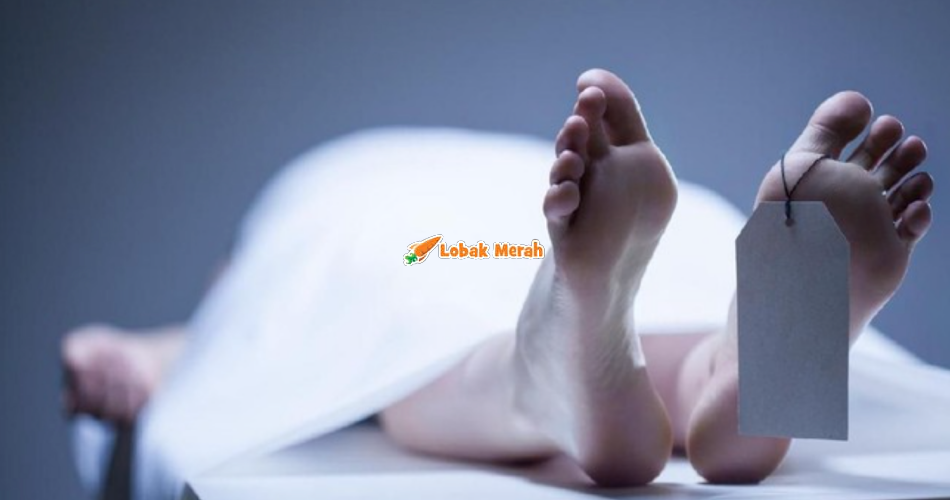 Jatuh Pokok Ketika Berburu, Mayat Pemuda Terpaksa Diusung Keluar Sejauh 3KM Oleh Bomba