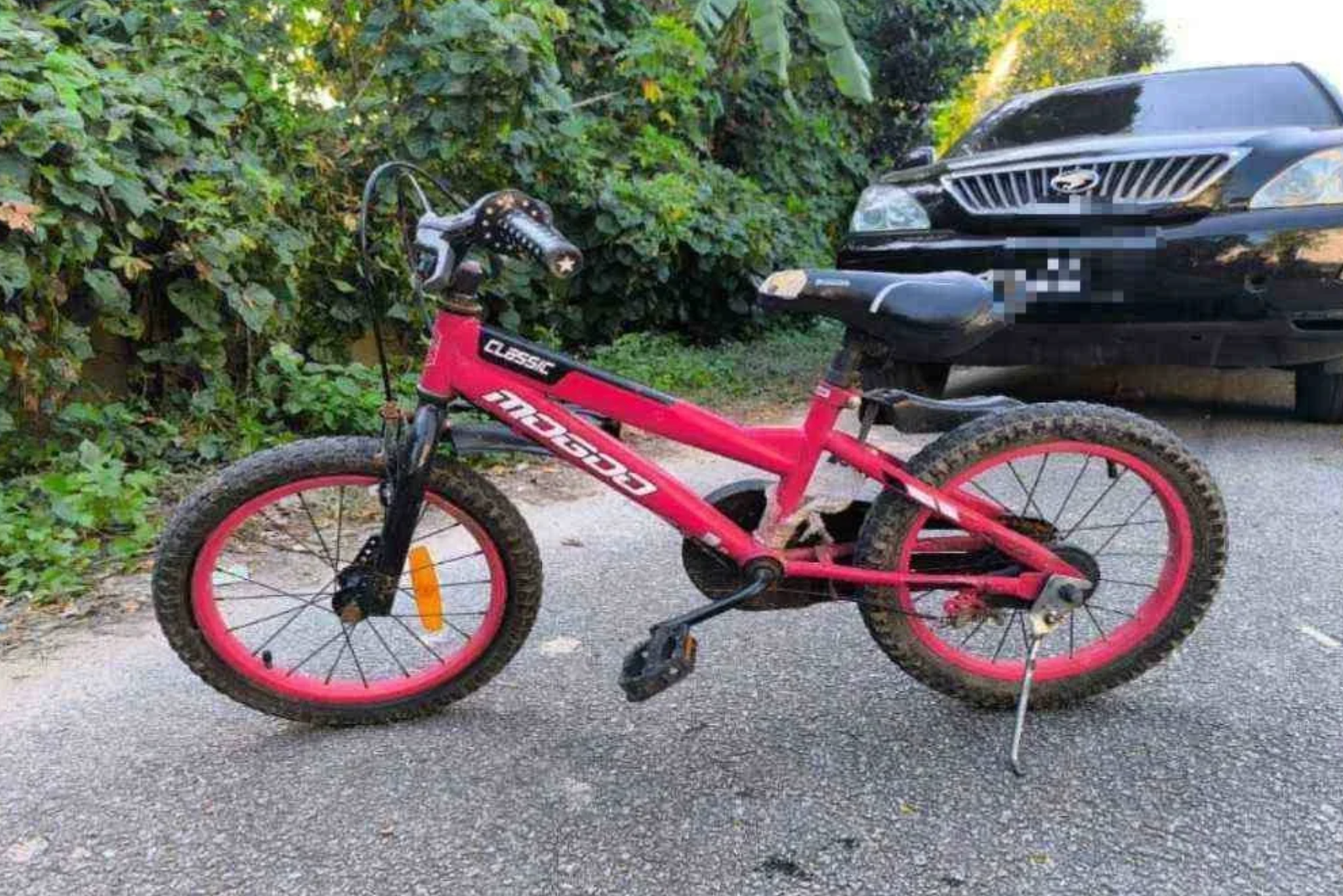 Screenshot 2026 03 01 At 11.47.15 Am