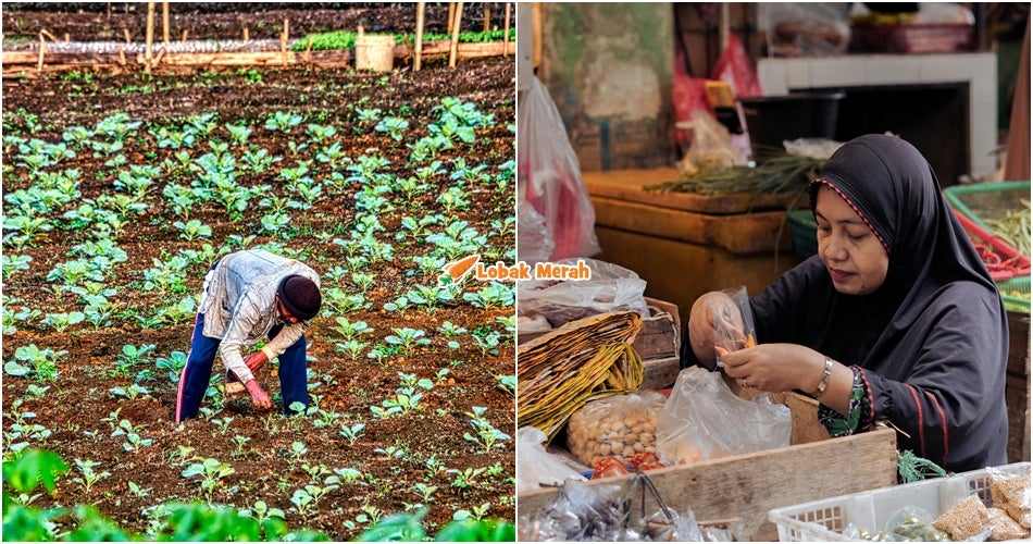 Geran RM4 Juta Menanti: Rizq Desa 2026 Kini Dibuka Untuk Usahawan Luar Bandar!