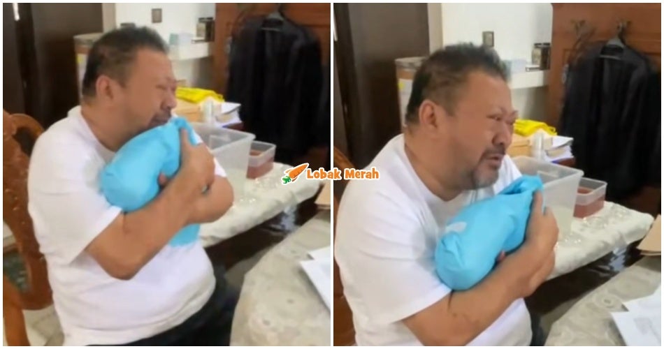 “Hanya pencinta kucing sahaja yang faham” – Tangisan Peguam ‘Kotak Pensel’ Kehilangan Kucing Tersayang Undang Sebak Ramai