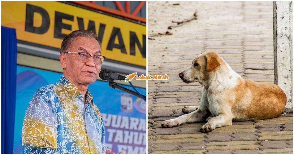 Sarawak Catat Korban Pertama Akibat Rabies Tahun Ini – Menteri Kesihatan