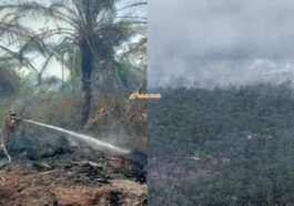 Kebakaran Ladang Kelapa Sawit