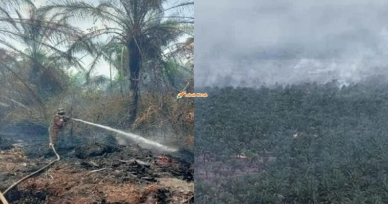 Kebakaran Ladang Kelapa Sawit