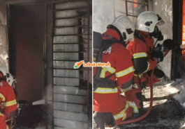 Syaz Ft 2026 03 13T155246.072