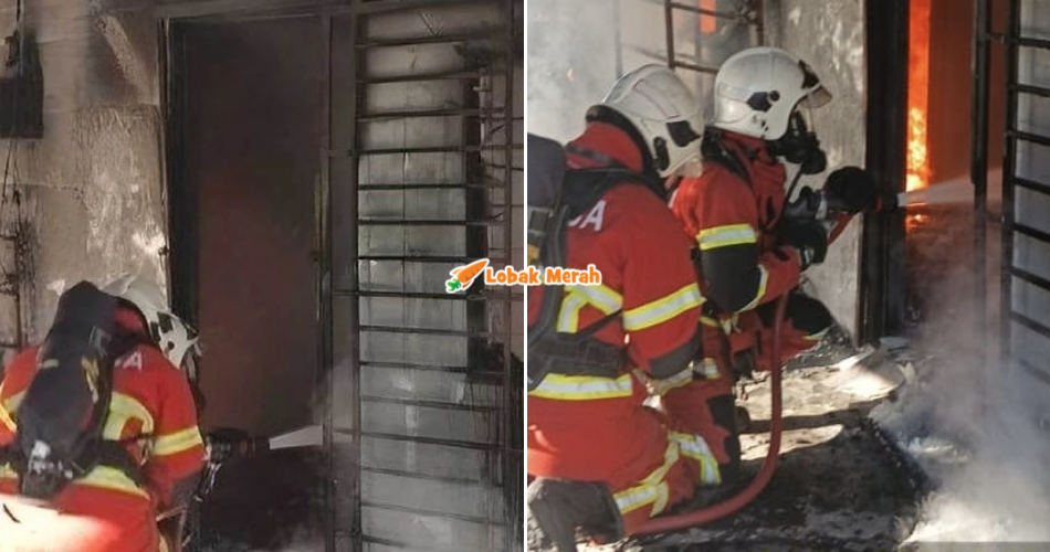 “Hanya 3 ekor selamat…” – Tragis! 27 Kucing Peliharaan M*ti Terperangkap Dalam Kebakaran Rumah Di Langkawi