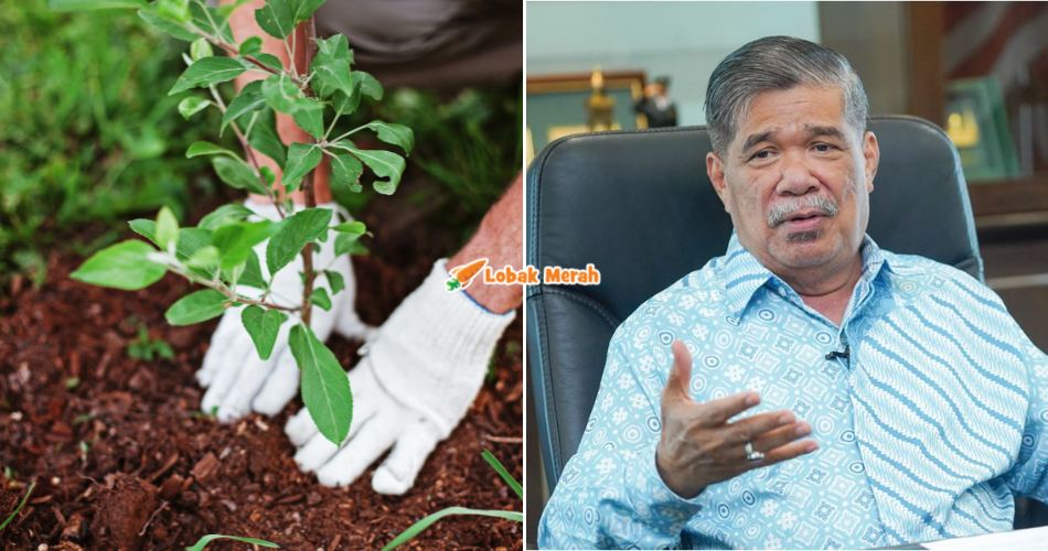 “Bermula dengan cili & terung…” – Kesan Konflik Asia Barat, Mat Sabu Saran Penjawat Awam Mula Tanam Sayur Di Rumah