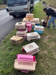 668320456 26759495030381154 2546733966959460571 N