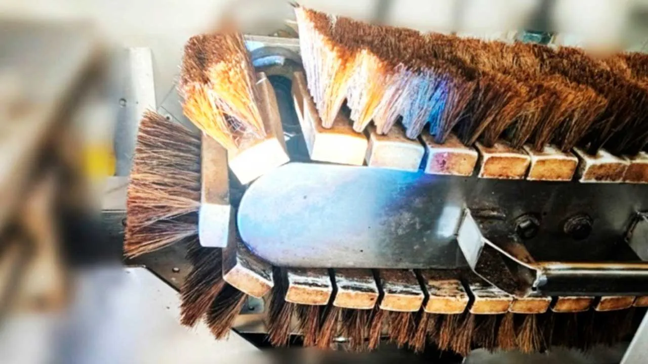 Tb Berus Bulu Babi Jaim