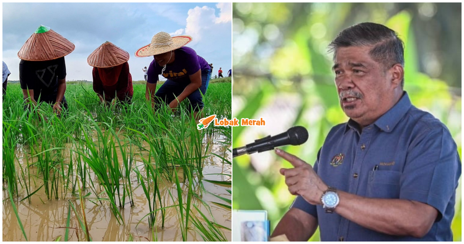 Mat Sabu Jawab Dakwaan Bantuan Pesawah Lambat Bayar, Ini Penjelasannya