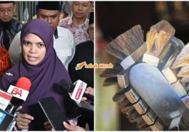 Ft Isu Bulu Khinzir Melaka