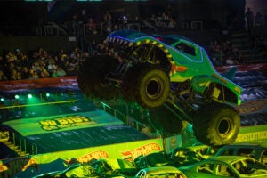 Photo3C Mega Rex