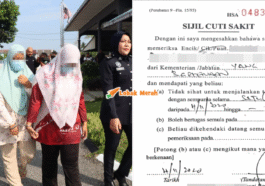 Syaz Ft 2026 06 16T125756.598