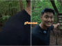 Collage 7