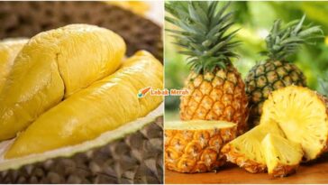 Durian Nanas Buah Kebangsaan Malaysia