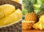 Durian Nanas Buah Kebangsaan Malaysia