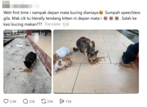 Tendang Kucing 5