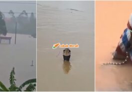 Ular Banjir China