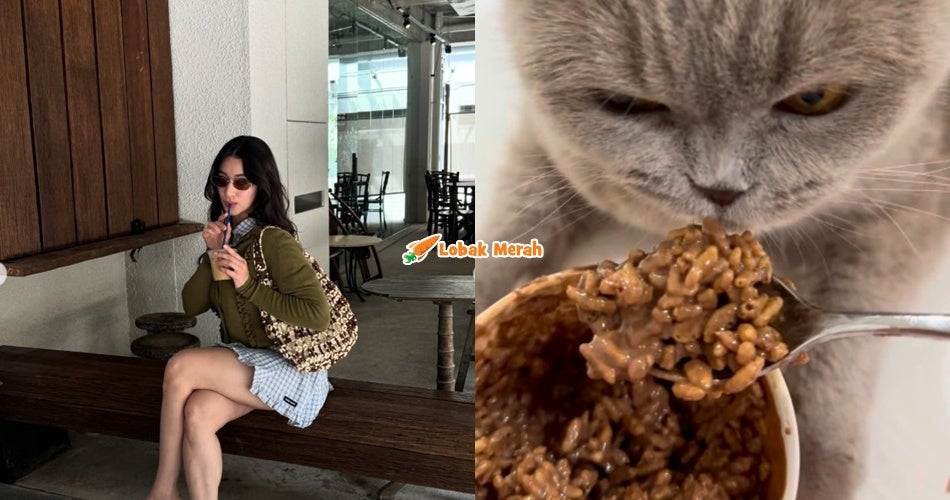 “Boleh jadi racun” – Tindakan Ameera Khan Suap Kucing Makan Coklat Dikecam Netizen
