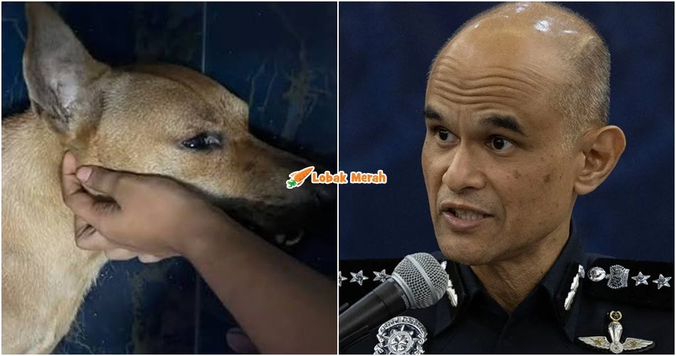 Pertuduhan Kes Kematian Rocky Diadakan Esok, Polis Nasihat Jangan Buat Perhimpunan