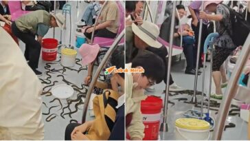 Belut Hidup Dalam Tren