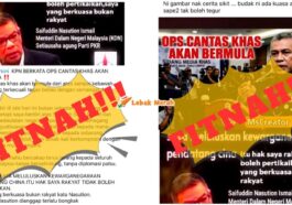 Collage 11