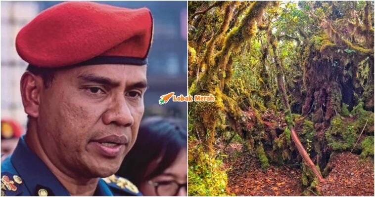 6 Individu Hilang Budak 9 Tahun Trans Gunung Gerah
