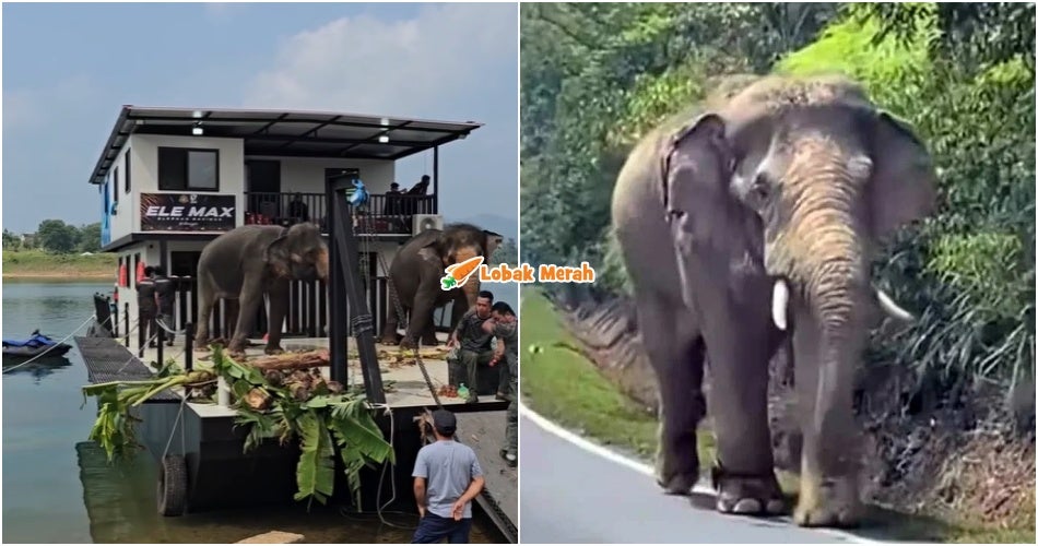 “Selamat datang ke negeri bahagia” – Tular Video Sulong Chalil Dipindahkan Ke Tasik Kenyir