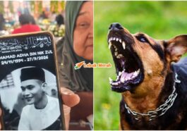 Lelaki Maut Rabies Kedah