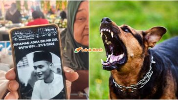 Lelaki Maut Rabies Kedah