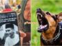 Lelaki Maut Rabies Kedah