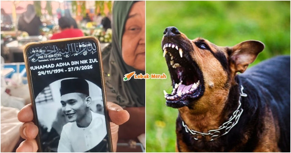 "Dia memang sayang haiwan" - Belas Ihsan Pada Anjing Terbiar Bertukar Tragedi, Lelaki M*ut Akibat Rabies