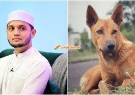 Orang Ramai Pelihara Anjing Pu Riz