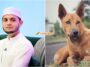 Orang Ramai Pelihara Anjing Pu Riz