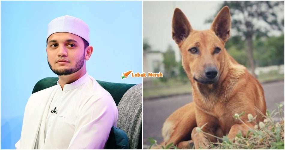“Maaf jika tak setuju” – PU Riz Saran Orang Ramai Tidak Boleh Pelihara Anjing